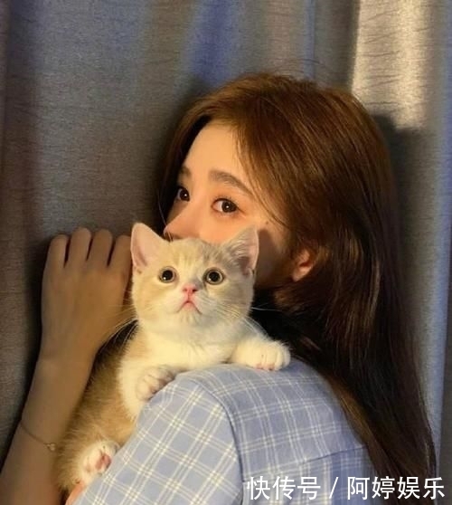 春季猫咪疾病的预防：守护毛孩子们的温暖季节